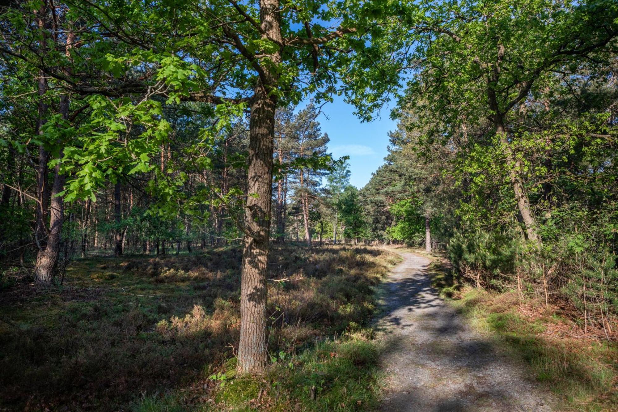 Hotel Woudschoten Zeist Exteriér fotografie